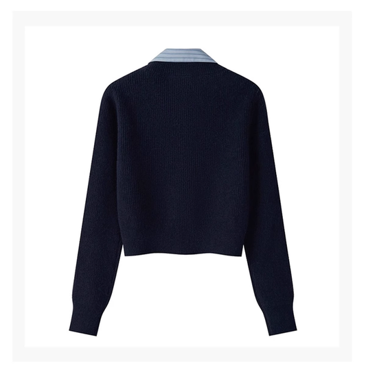 College style sweater for women autumn and winter new fake two-piece sweater British polo collar YM871