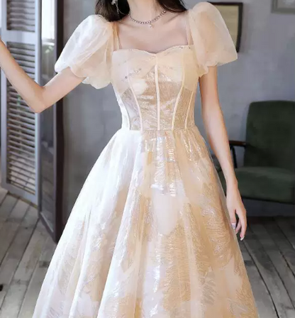 Sparkly Ivory Tulle Puffy Embroidered Square-neck A-Line Long Prom Dress Birthday Dress YM2641