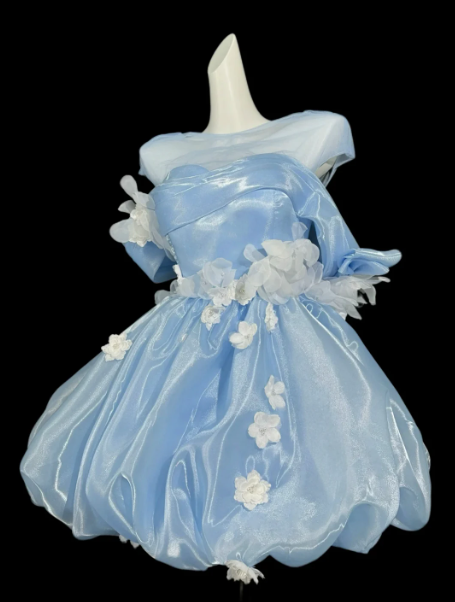 Dreamy Baby Blue Silky Applique Off-the-shoulder A-Line Short Prom Dress Birthday Dress YM2562