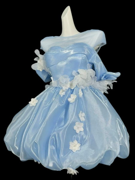 Dreamy Baby Blue Silky Applique Off-the-shoulder A-Line Short Prom Dress Birthday Dress YM2562