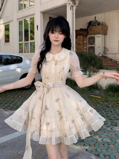 Cute Sweet Doll Collar Embroidered Tulle Short Birthday Party Dress YM2040