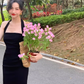 women's backless halter neck dress YM1528