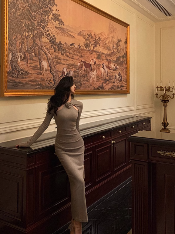 Elegant Slim Fit Knitted Dress Long Party Dress YM1672